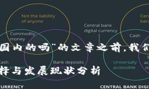 在撰写关于“tpwallet是国内的吗”的文章之前，我们先进行和关键词的设定。

tpwallet：国内钱包的选择与发展现状分析
