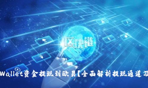 如何将TPWallet资金提现到欧易？全面解析提现通道及注意事项
