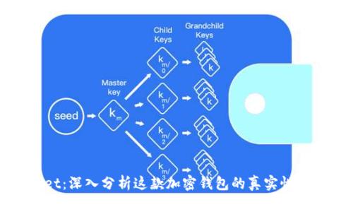 TPWallet：深入分析这款加密钱包的真实性与安全性