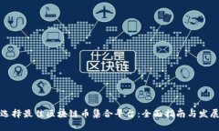如何选择最佳区块链币集合平台：全面指南与发