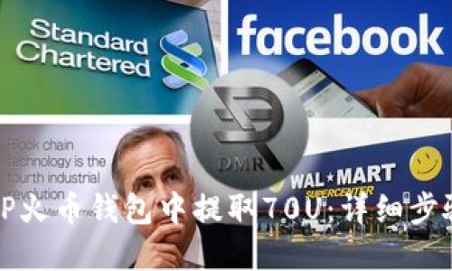如何在TP火币钱包中提取70U:详细步骤与技巧