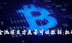 TPWallet资金池项目方是否可以撤销：机制与影响分