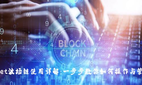 TPWallet波场链使用详解：一步步教你如何操作与管理资产