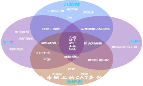 理解TPWallet:火币链上的CAT是什么及其应用前景
