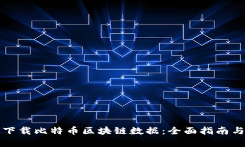 如何高效下载比特币区块链数据:全面指南与最佳实践