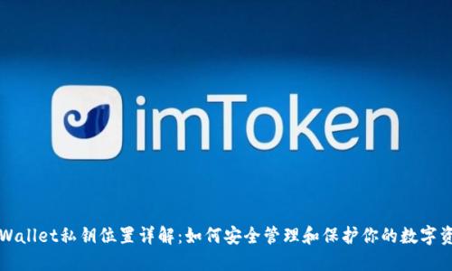 TPWallet私钥位置详解：如何安全管理和保护你的数字资产